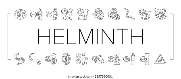 helminth worm parasite roundworm icons set vector. dog tapeworm, heart helminth ascaris, internal cat, nematode pet, pinworm giardia helminth worm parasite roundworm black contour illustrations