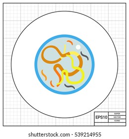 Helminthes in petri dish