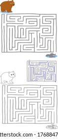 Help the bear finding fish. Labyrinth game with solution vector illustration
