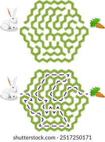 Help bunny pass through green hedge maze to find carrots. Feed the hungry pet labyrinth. Family riddle for kids and parents with solution - red passing route.