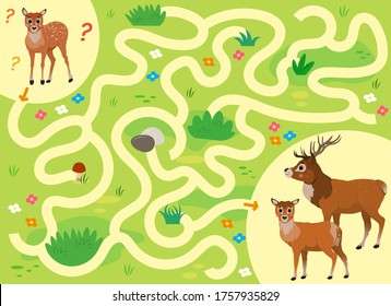 Help the little lost fawn find the way to his family. Color maze or labyrinth game for preschool children. Puzzle. Tangled road. Forest animals for kids.