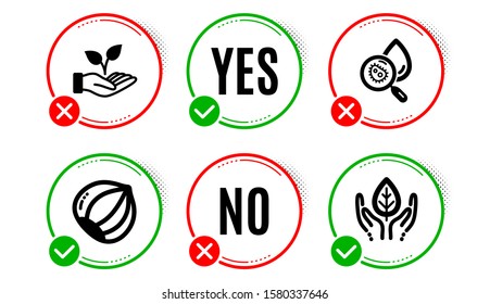 Helping hand, Water analysis and Hazelnut icons simple set. Yes no check box. Fair trade sign. Startup palm, Aqua bacteria, Vegetarian nut. Safe nature. Nature set. Helping hand icon. Vector