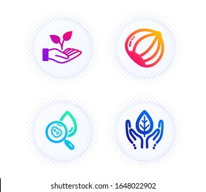 Helping hand, Water analysis and Hazelnut icons simple set. Button with halftone dots. Fair trade sign. Startup palm, Aqua bacteria, Vegetarian nut. Safe nature. Nature set. Vector