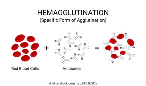 Hemaglutinación Forma específica de aglutinación