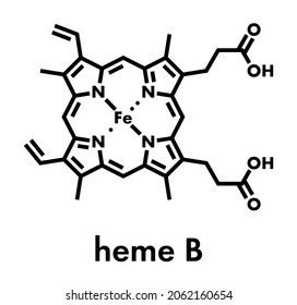 Molécula Heme B (haem B). El hemoglobina es un componente esencial de la hemoglobina, la mioglobina, el citocromo, la catalasa y otras metaloproteínas. Fórmula esquelética.