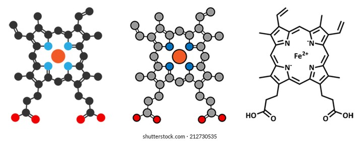 Heme B (haem B) molecule. Heme is an essential component of hemoglobin, myoglobin, cytochrome, catalase and other metalloproteins. Stylized 2D renderings and conventional skeletal formula.