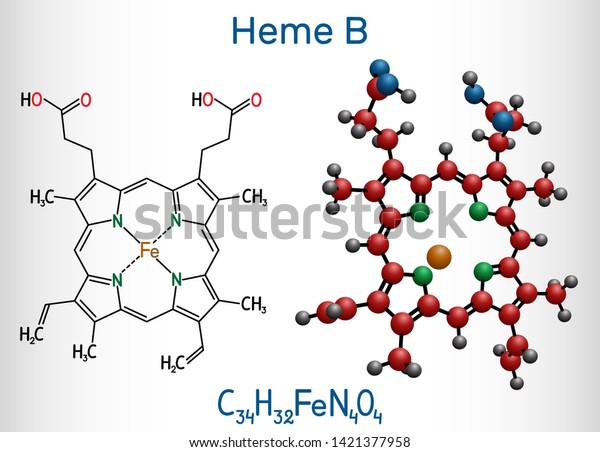 ヘムb ヘムb プロトヘムix分子 酵素 のヘモグロビン ミオグロビン ペルオキシダーゼ シクロオキシゲナーゼの一種である 構造化学式と分子モデル ベクターイラスト のベクター画像素材 ロイヤリティフリー