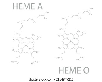 Heme A and heme B molecular skeletal chemical formula.