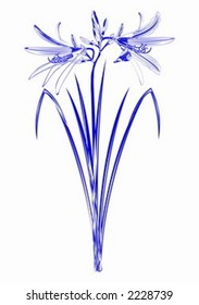 Hemerocallis abstract blue