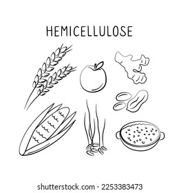 Hemicellulose-containing food. Groups of healthy products containing vitamins and minerals. Set of fruits, vegetables, meats, fish and dairy.