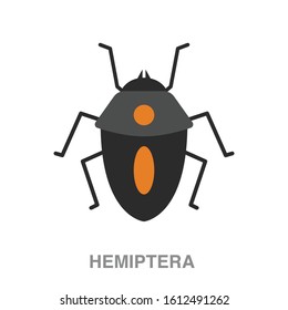 Hemiptera flat icon on white transparent background. You can be used hemiptera icon for several purposes.