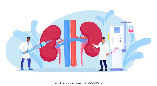 Hemodialysis For Blood Purification In Chronic Renal Failure. Tiny Doctors Treat, Test Kidneys. Cleansing And Transfusion Of Blood Through Dialysis Machine. Physician Conduct Kidney Treatment Disease