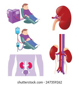 Hemodialysis And Peritoneal Dialysis Are Both Used To Treat Kidney - Vector Illustration