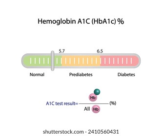 Hemoglobina A1C, HbA1c test, HbA1c level, Glucosa se aferra a la hemoglobina, hemoglobina glicarizada, hasta 120 días. Prueba de azúcar en sangre A1C, Diabetes Mellitus, Infografía, Ilustración vectorial.