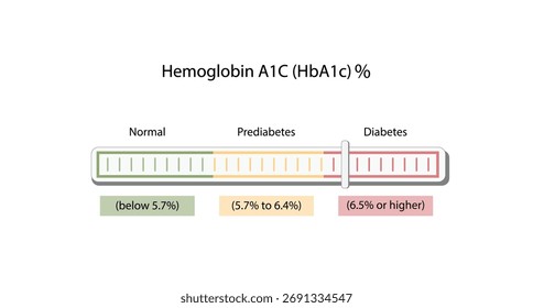 Hemoglobin A1C, HbA1c test , HbA1c levels, Glucose sticks to hemoglobin, glycated hemoglobin, up to 120 days. A1C Blood Sugar Test, Diabetes Mellitus, Infographic, Vector illustration.