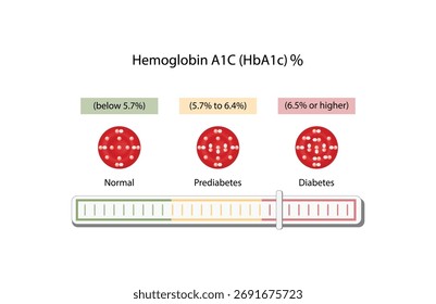 Hemoglobina A1C, prueba de HbA1c, niveles de HbA1c, glucosa se pega a la hemoglobina, hemoglobina glicosilada, hasta 120 días. Prueba de azúcar en sangre A1C, diabetes mellitus, infografía, Ilustración vectorial.