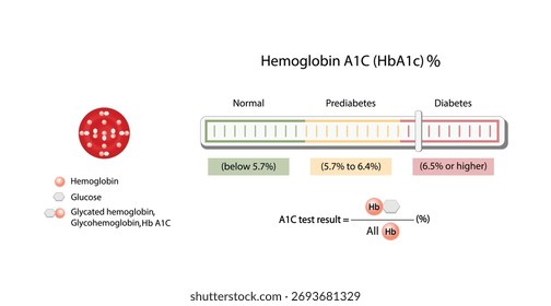 Hemoglobina A1C, prueba de HbA1c, niveles de HbA1c, glucosa se pega a la hemoglobina, hemoglobina glicosilada, hasta 120 días. Prueba de azúcar en sangre A1C, diabetes mellitus, infografía, Ilustración vectorial.	