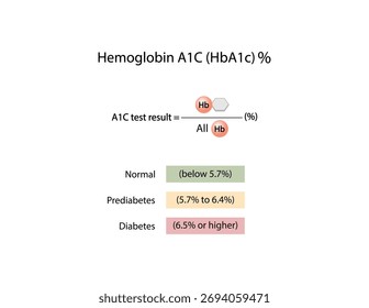 Hemoglobin A1C, HbA1c test , HbA1c levels, Glucose sticks to hemoglobin, glycated hemoglobin, up to 120 days. A1C Blood Sugar Test, Diabetes Mellitus, Infographic, Vector illustration.	