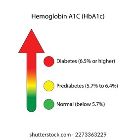 Hemoglobin A1C, HbA1c test results, glycated hemoglobin, A1C Blood Sugar Test, Diabetes Mellitus. Vector illustration.