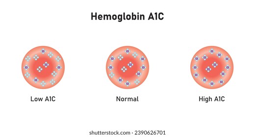 Hemoglobin A1c Levels Scientific Design. Vector Illustration.