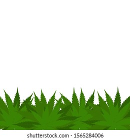 Hemp bushes vector frame. Cannabis shrubs background.