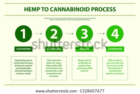 Hemp to Cannabinoid Process horizontal infographic illustration about cannabis as herbal alternative medicine and chemical therapy, healthcare and medical science vector.