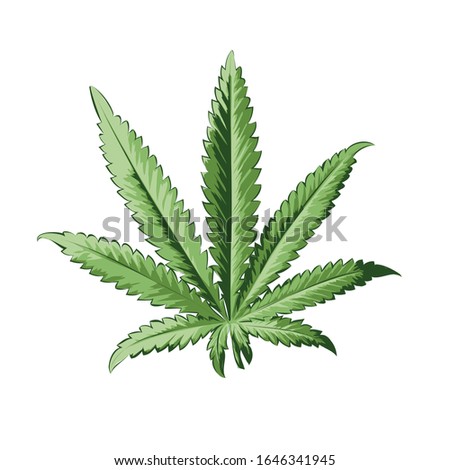 Hemp, cannabis leaf. High quality leaaf for printing. Vector Illustration.