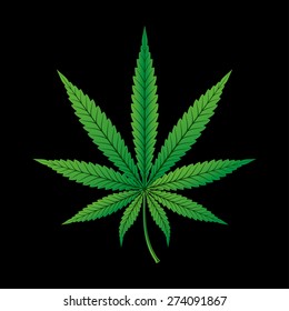 Hemp Cannabis Leaf on Black Background