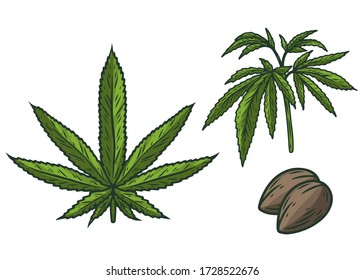 Hemp, Cannabis Plant, Leaf, Seed Hand Drawn Sketch Vector Engraving Illustration.