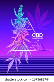 Hemp, Cannabis plant. Template, poster, card, good for product label. Vector illustration in neon, fluorescent colors