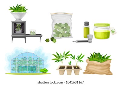 Hemp and Cannabis Sativa Production and Processing Vector Set