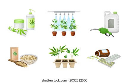 Conjunto de vectores de producción y procesamiento de cáñamo y cannabis
