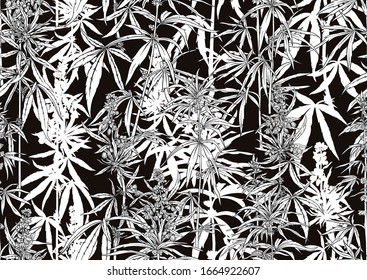 Hemp, Cannabis sin fisuras, fondo. Ilustración vectorial. Gráficos en blanco y negro