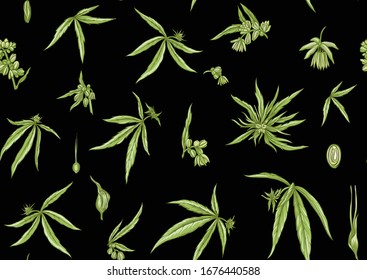 Hanf, Cannabis nahtloses Muster, Hintergrund. Vektorillustration. Im botanischen Stil einzeln auf schwarzem Hintergrund.