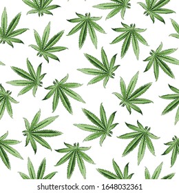 Hemp, cannabis sin fisuras. Patrón transparente de alta calidad para impresión. Ilustración vectorial.