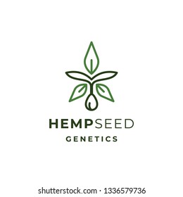 Hemp or Cannabis Seed Logo Illustrations for cultivation company