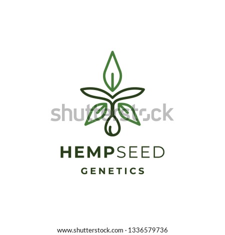Hemp or Cannabis Seed Logo Illustrations for cultivation company