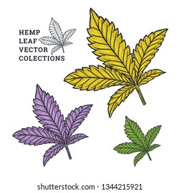 Hemp or Cannabis Vector Illustrations for Logo Template or other