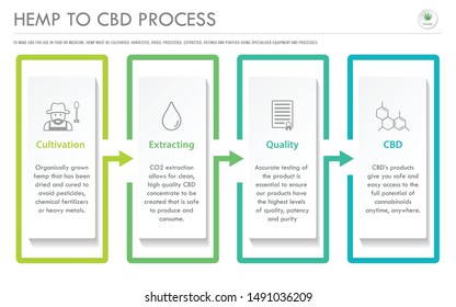 Hemp to CBD Process horizontal business infographic illustration about cannabis as herbal alternative medicine and chemical therapy, healthcare and medical science vector.