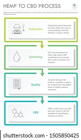 Hemp To CBD Process Vertical Business Infographic Illustration About Cannabis As Herbal Alternative Medicine And Chemical Therapy, Healthcare And Medical Science Vector.