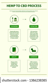 Hemp to CBD Process vertical infographic illustration about cannabis as herbal alternative medicine and chemical therapy, healthcare and medical science vector.