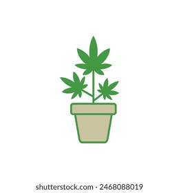 Hemp Flower in Pot Icon Vector Template Illustration Design