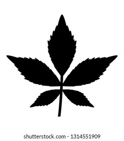 Hemp icon design, weed leaf 