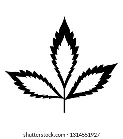 Hemp icon design, weed leaf 