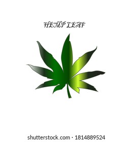 hemp leaf  cannabis green  vector medical  marijuana