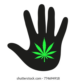 hemp leaf in hand on a white background
