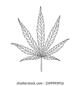 Hemp Leaf Line Drawing isolated on White Background. CBD, Cannabis design logo