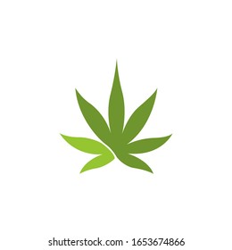 Diseño del logo de la hoja de cáñamo relacionado con el producto de cannabis o la empresa productora de cannabis
