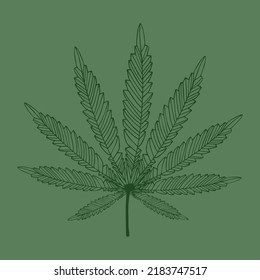 Hemp leaf logo vector. Medical and nature, cannabis and hemp illustration.