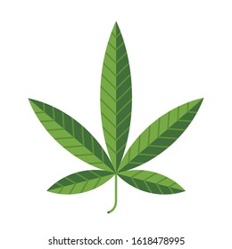 Hemp leaf symbol. Vector, isolated on white.